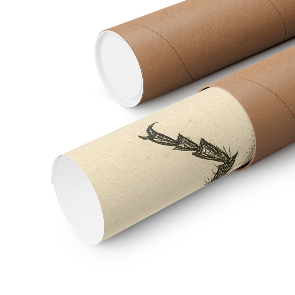 Wildlife Print - Pencil Ladybug