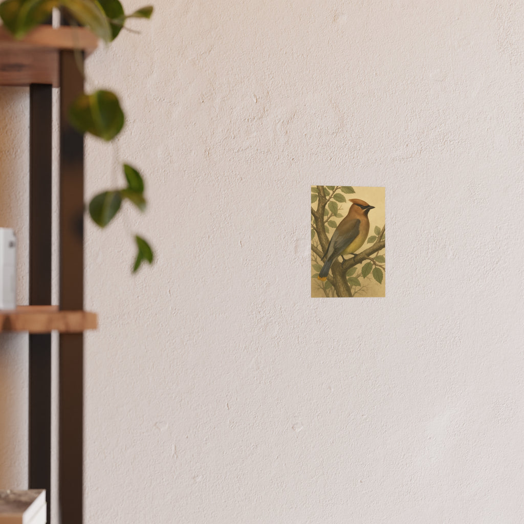 Wildlife Print - Cedar Waxwing