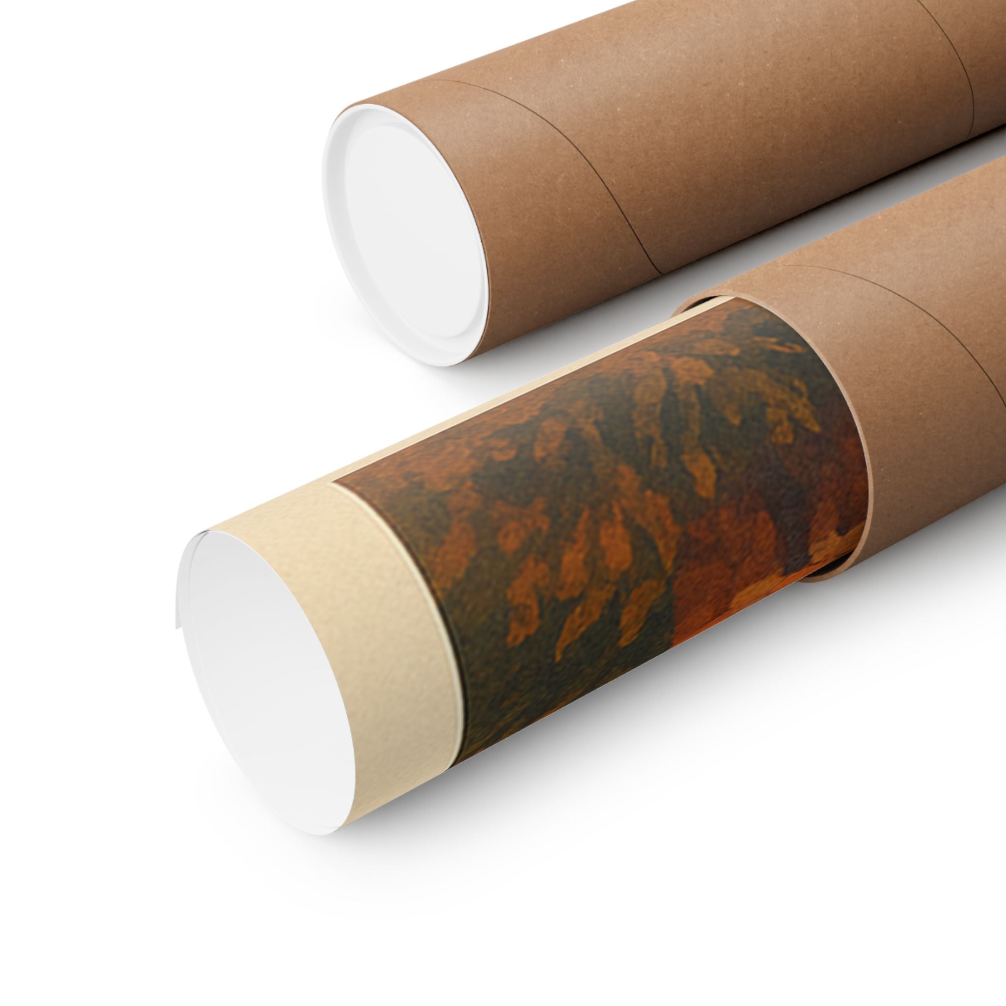 Vertical Print - Denali National Park