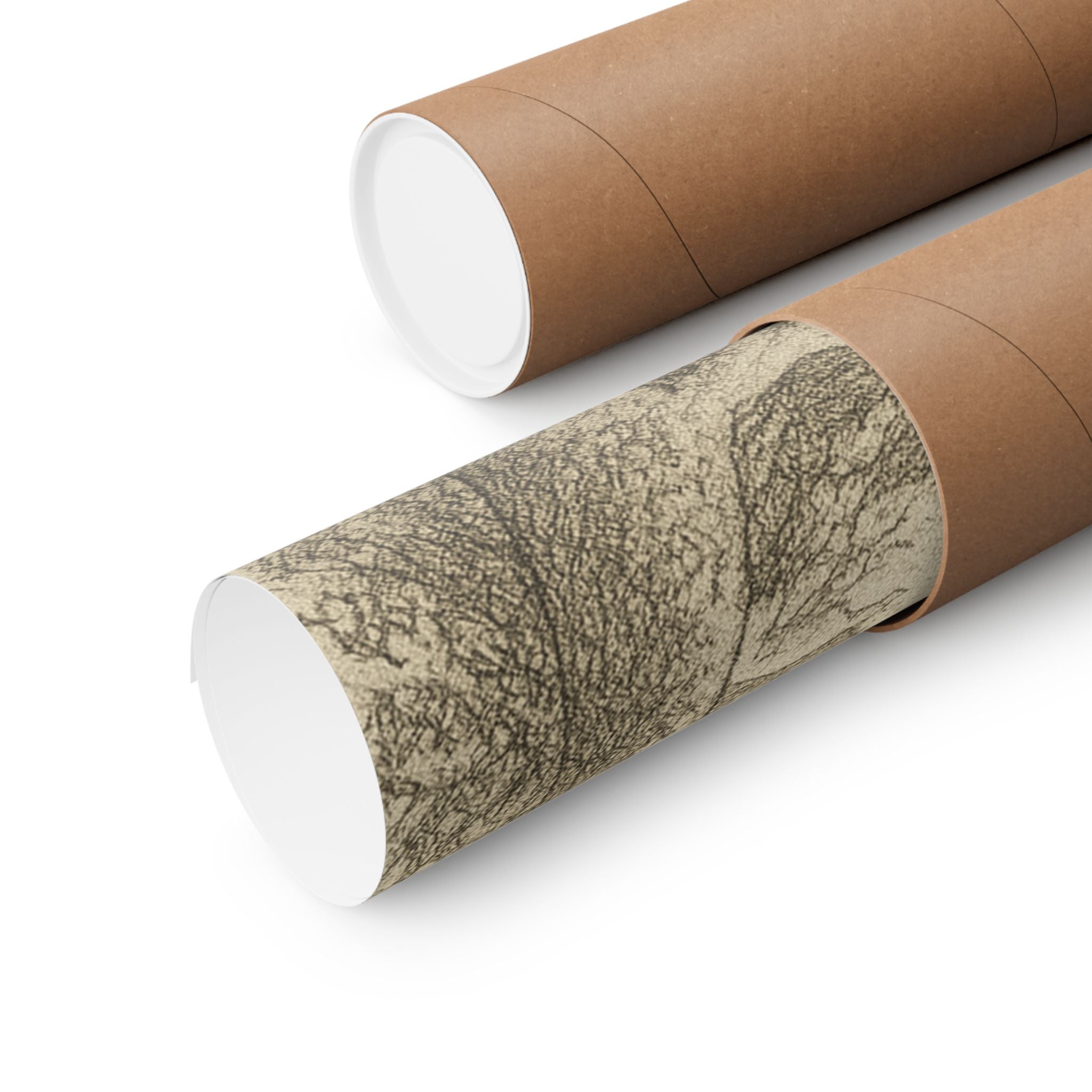 Nature Print - Snowy Bridge Sketch