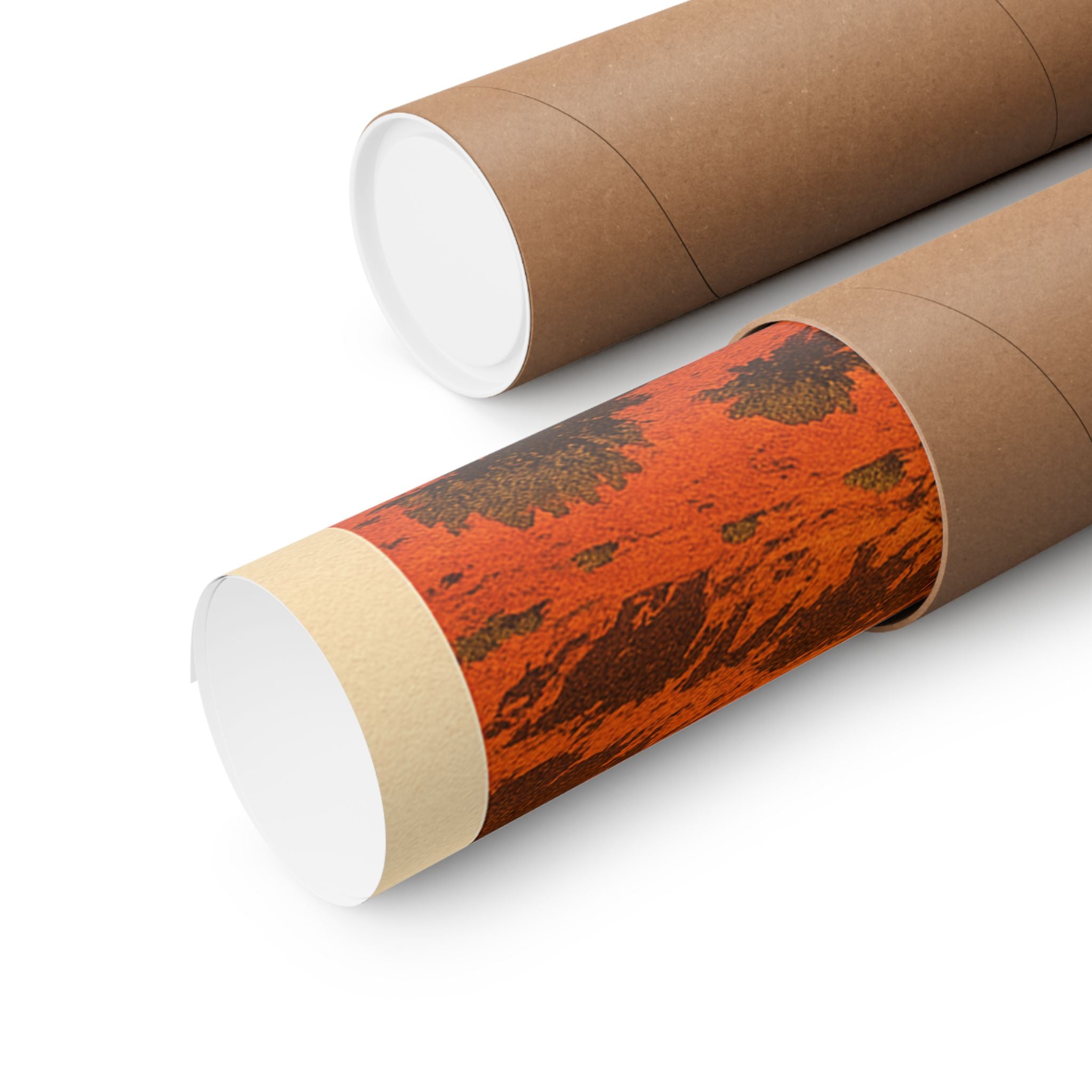 Nature Print - Monument Valley