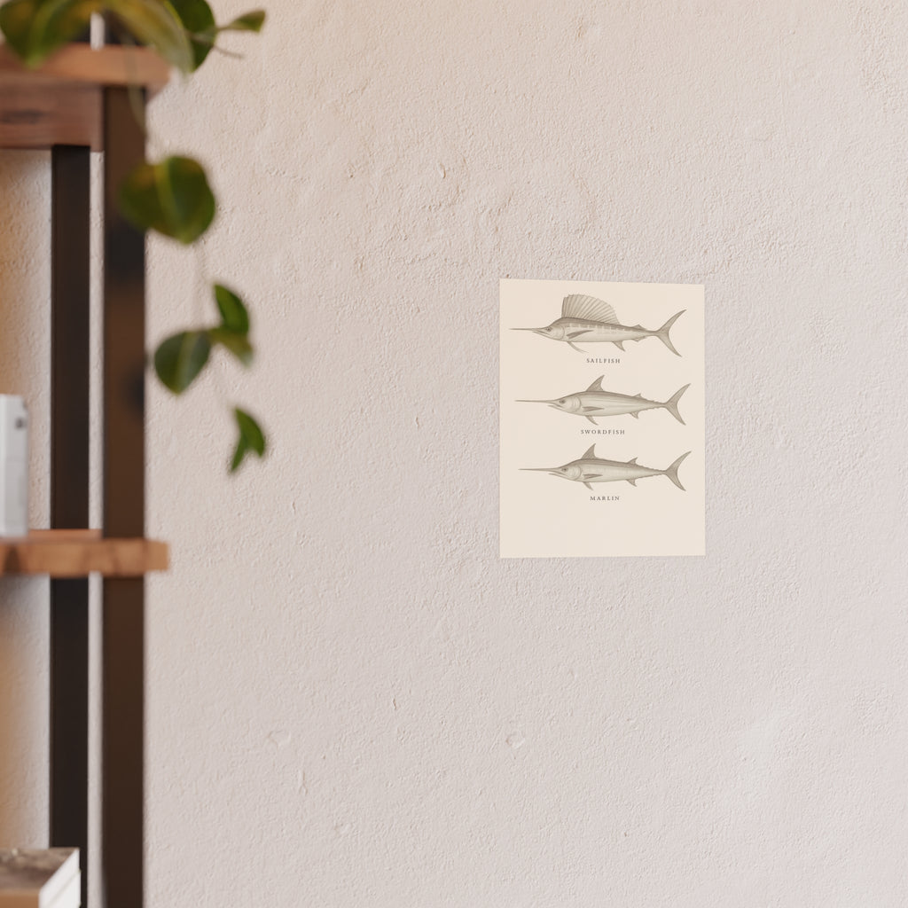 Wildlife Print - Billfish Sketch
