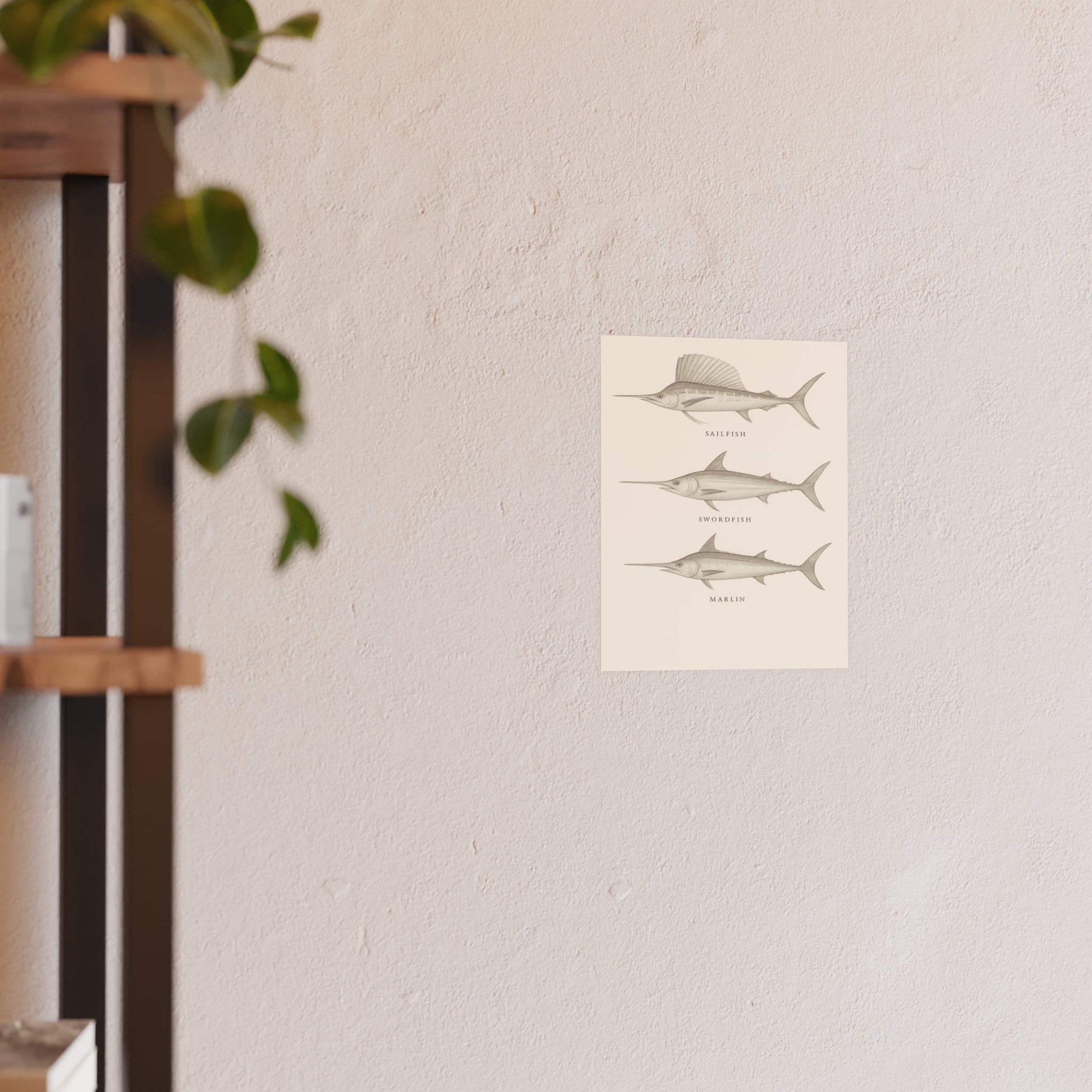 Wildlife Print - Billfish Sketch