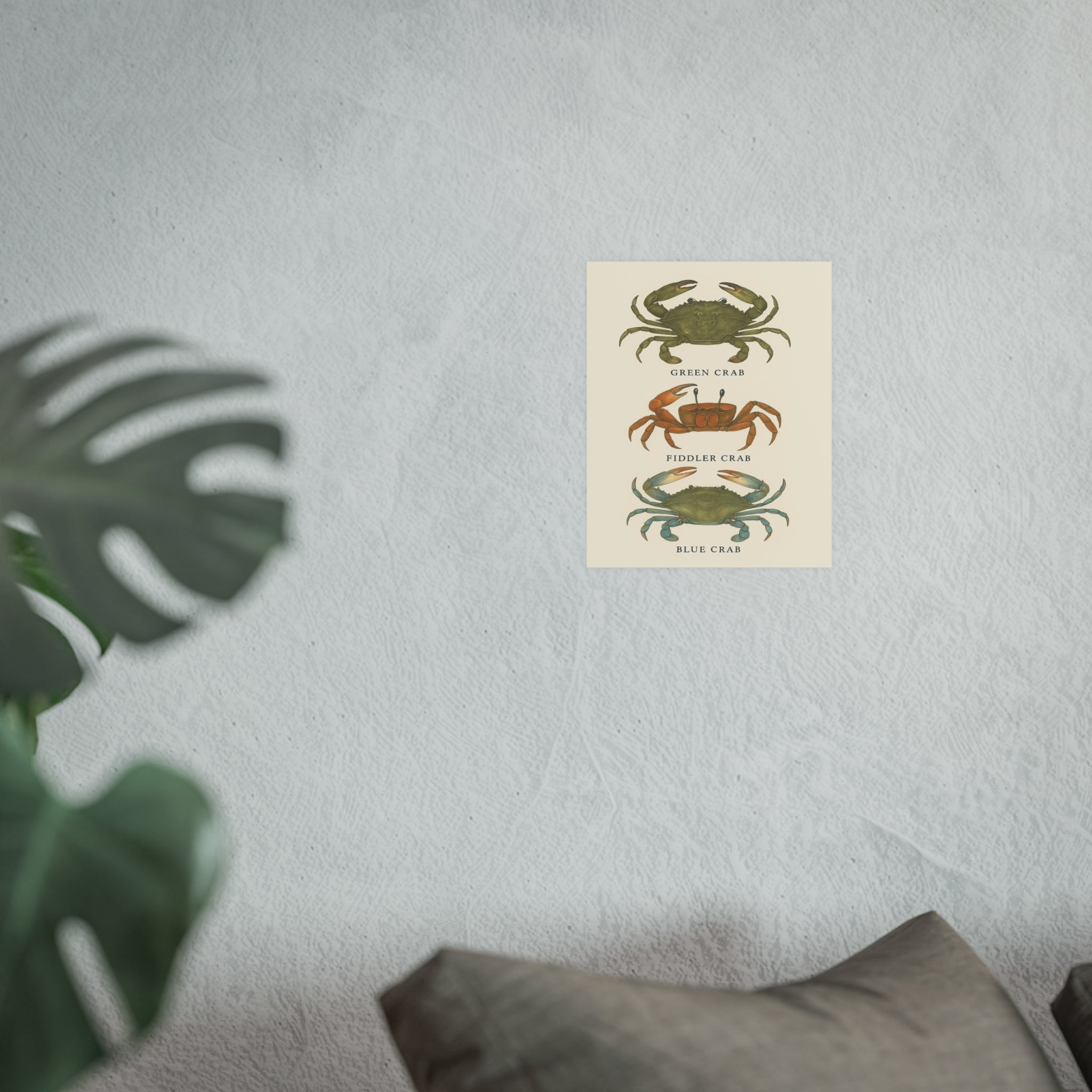 Wildlife Print - Ocean Crabs