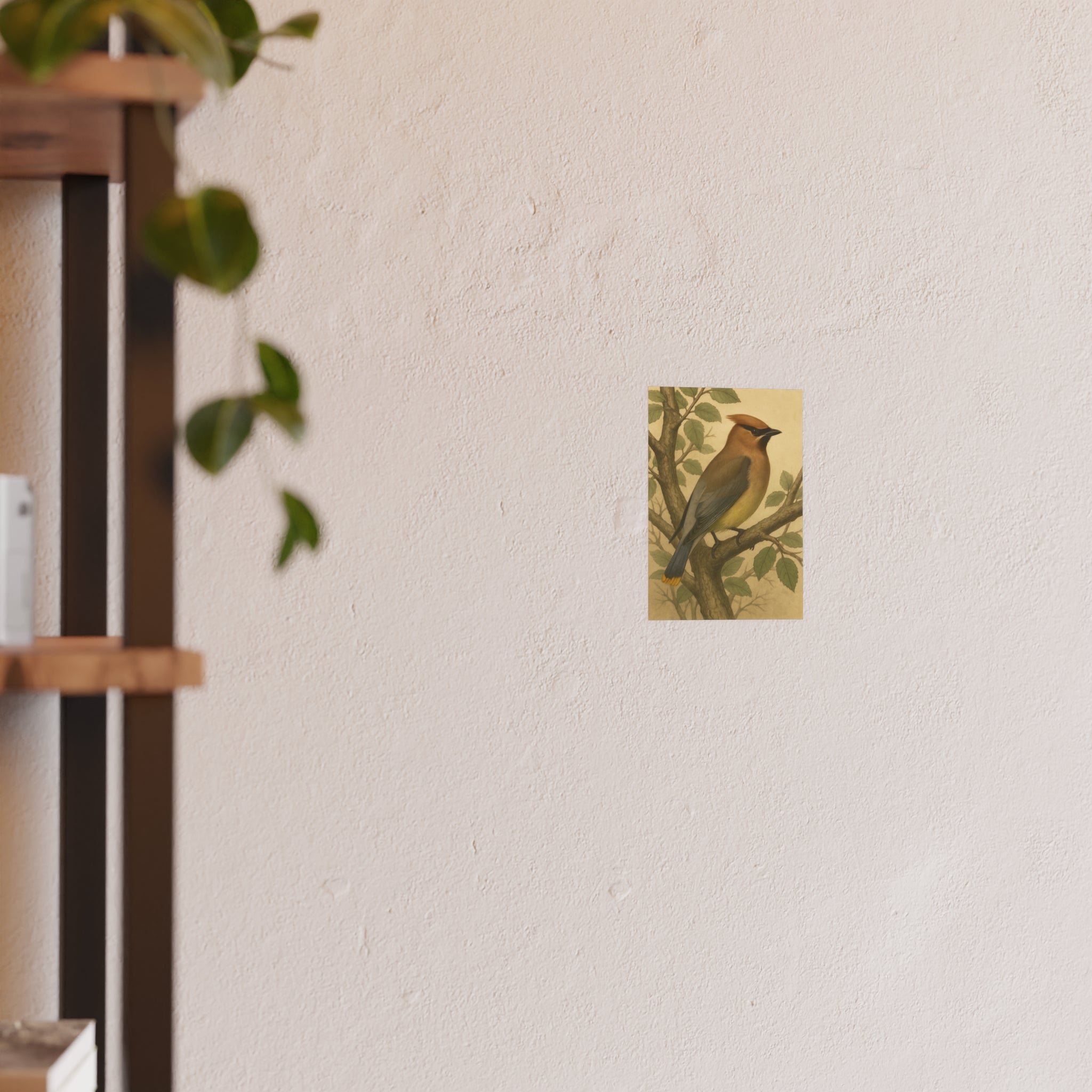 Wildlife Print - Cedar Waxwing