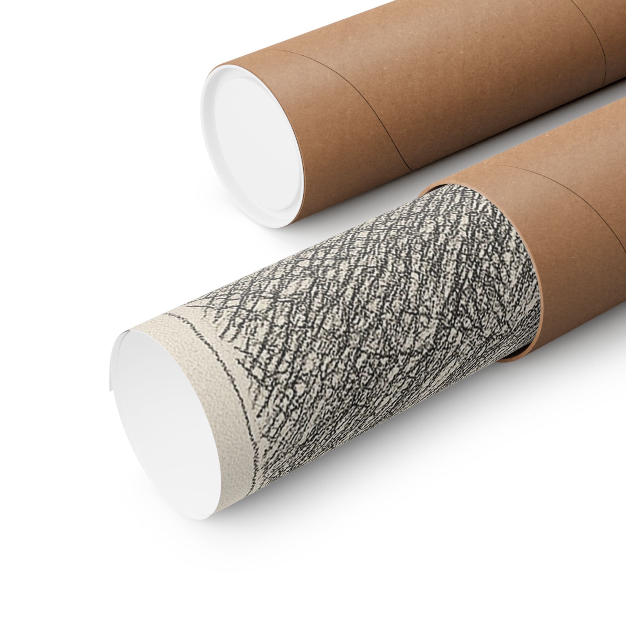 Nature Print - Mount Whitney Sketch