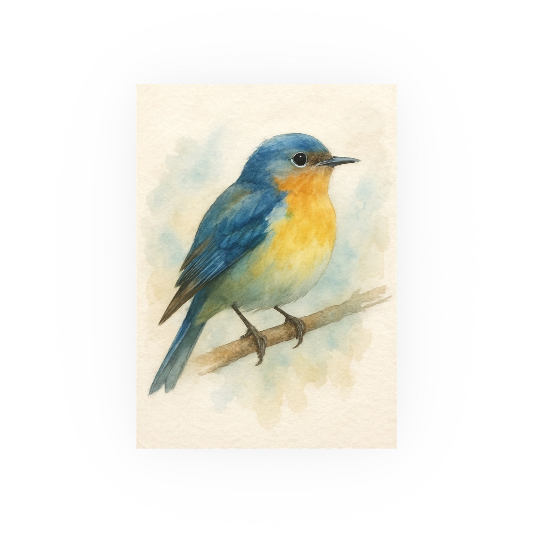 Wildlife Print - Bluebird