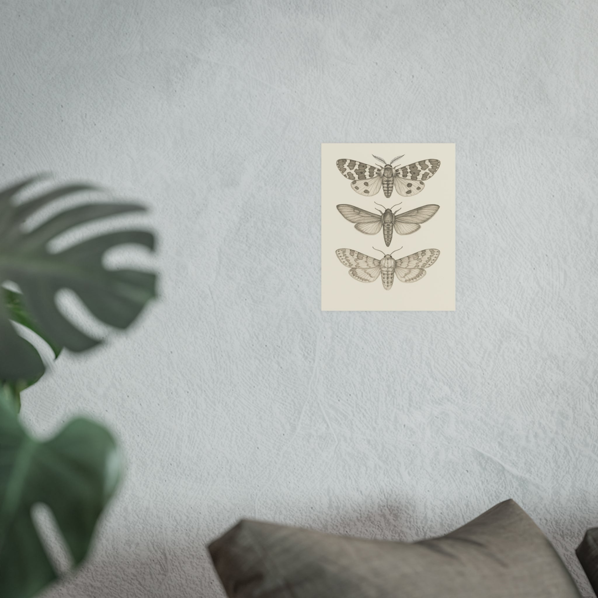 Wildlife Print - Giant Moth Sketch