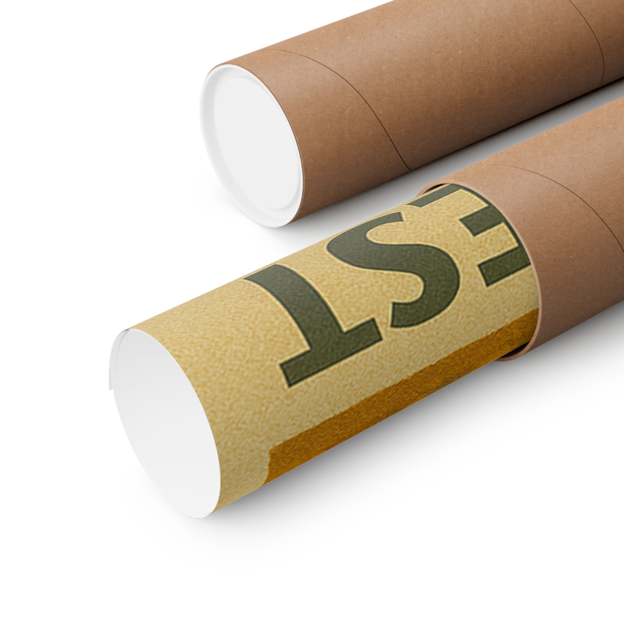 Vertical Print - Petrified Forest National Park