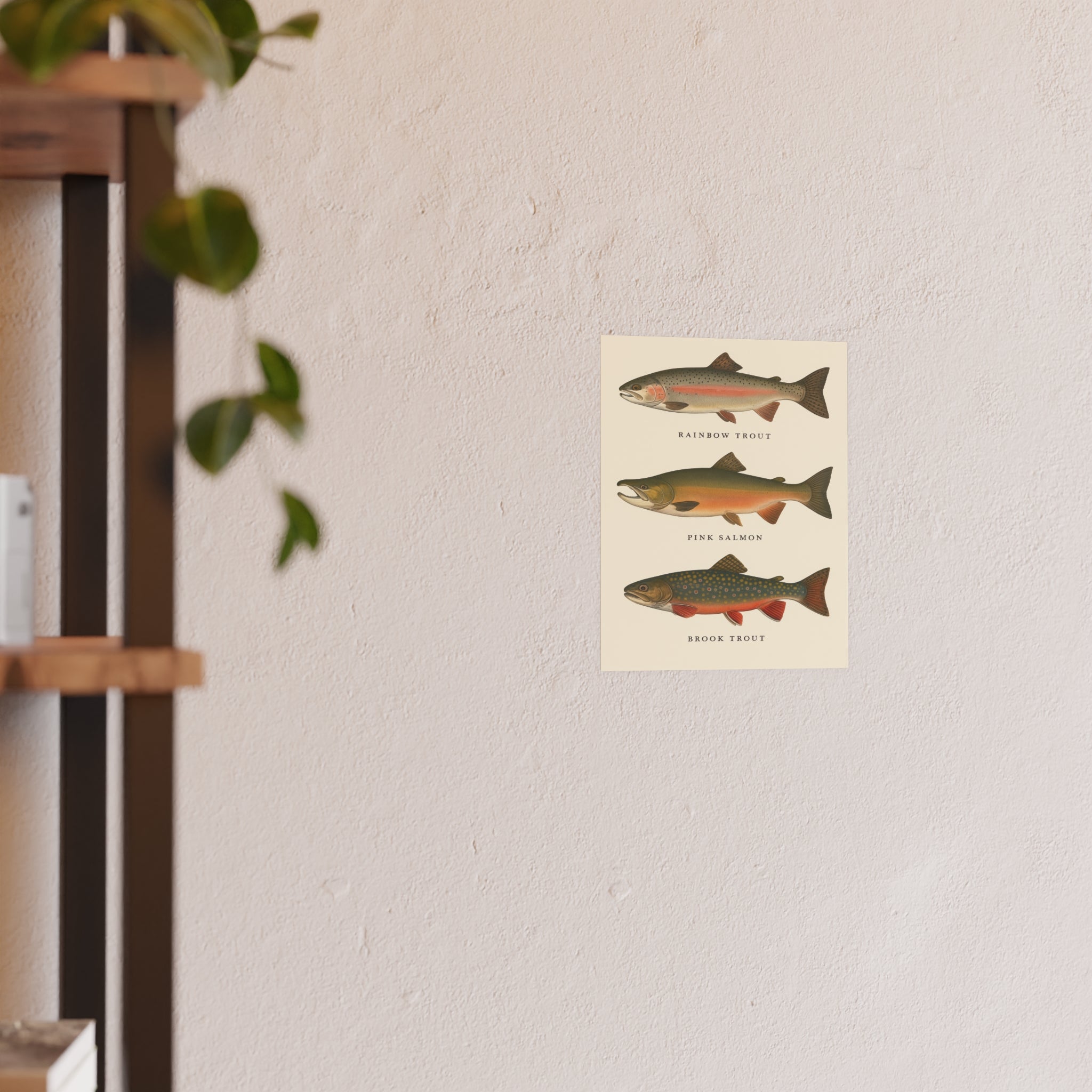 Wildlife Print - Colorful Trout