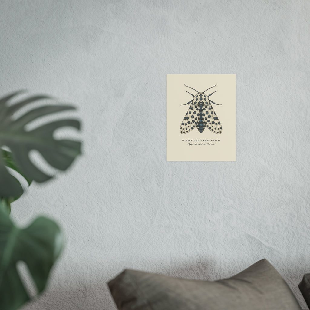 Wildlife Print - Giant Leopard Moth