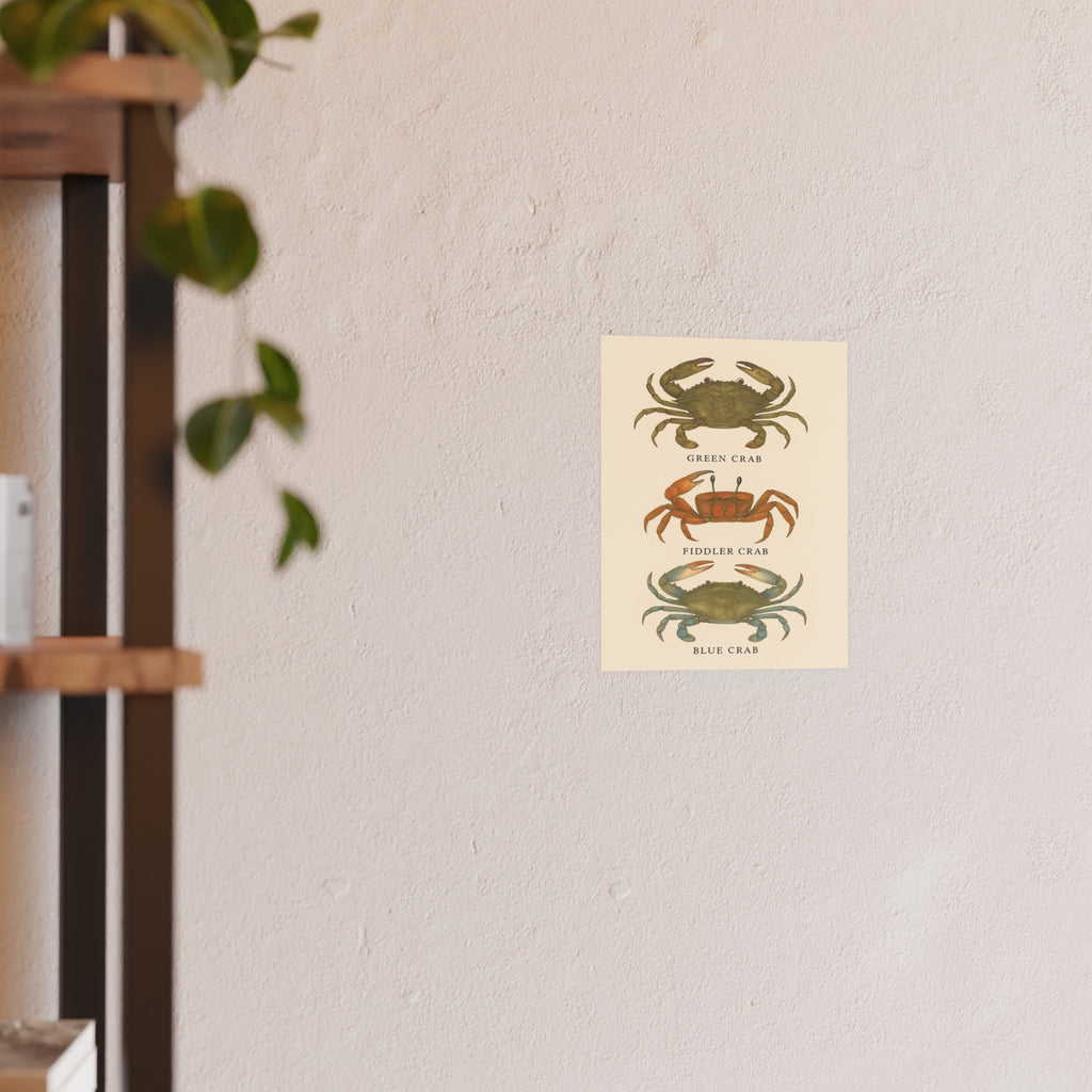 Wildlife Print - Ocean Crabs