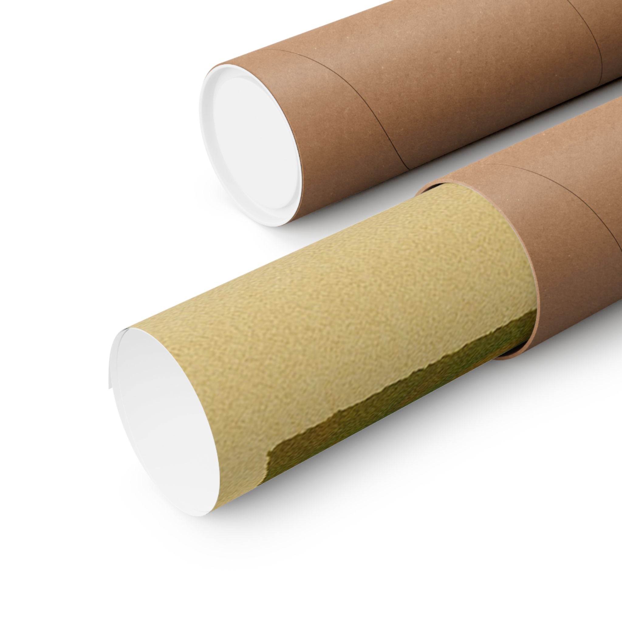 Vertical Print - Zion National Park