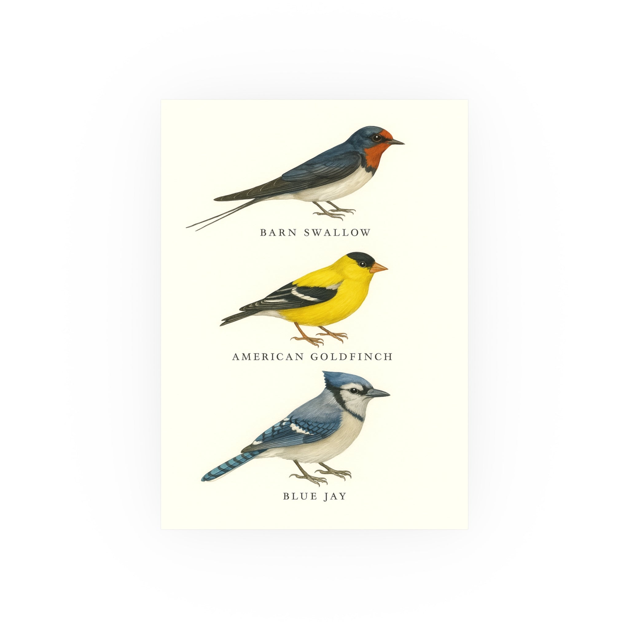 Wildlife Print - Charming Birds