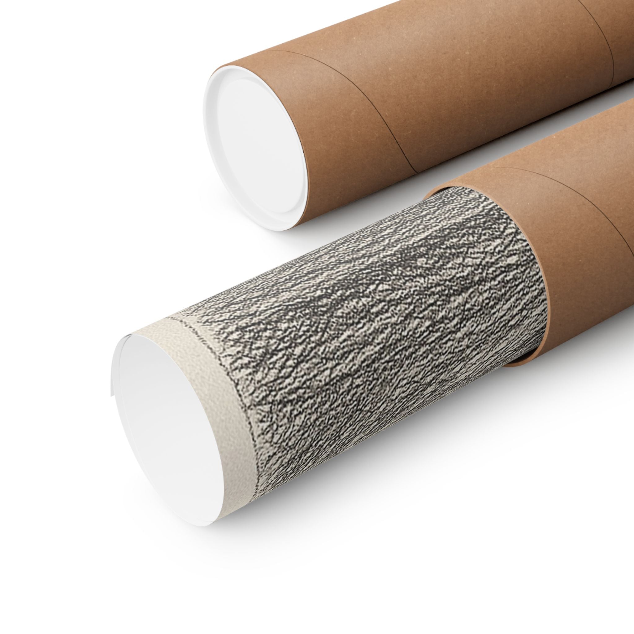 Nature Print - Mount Mckinley Sketch