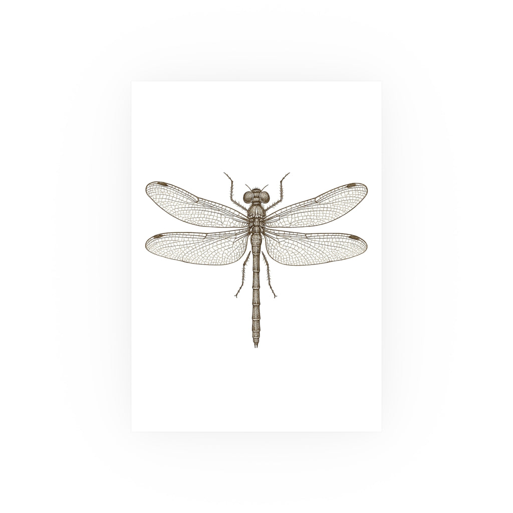 Wildlife Print - Single Dragonfly
