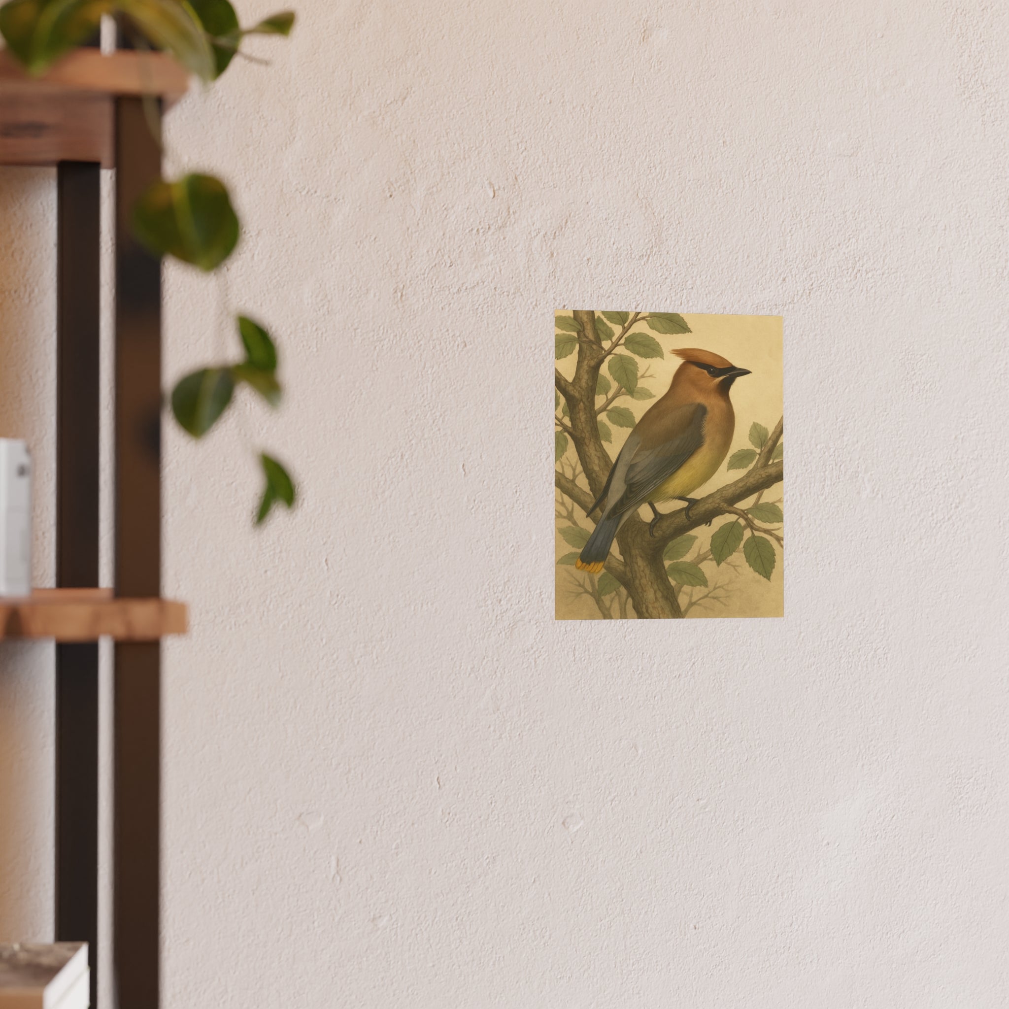Wildlife Print - Cedar Waxwing