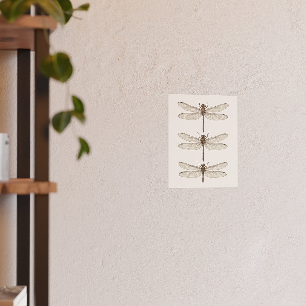 Wildlife Print - Three Dragonflies