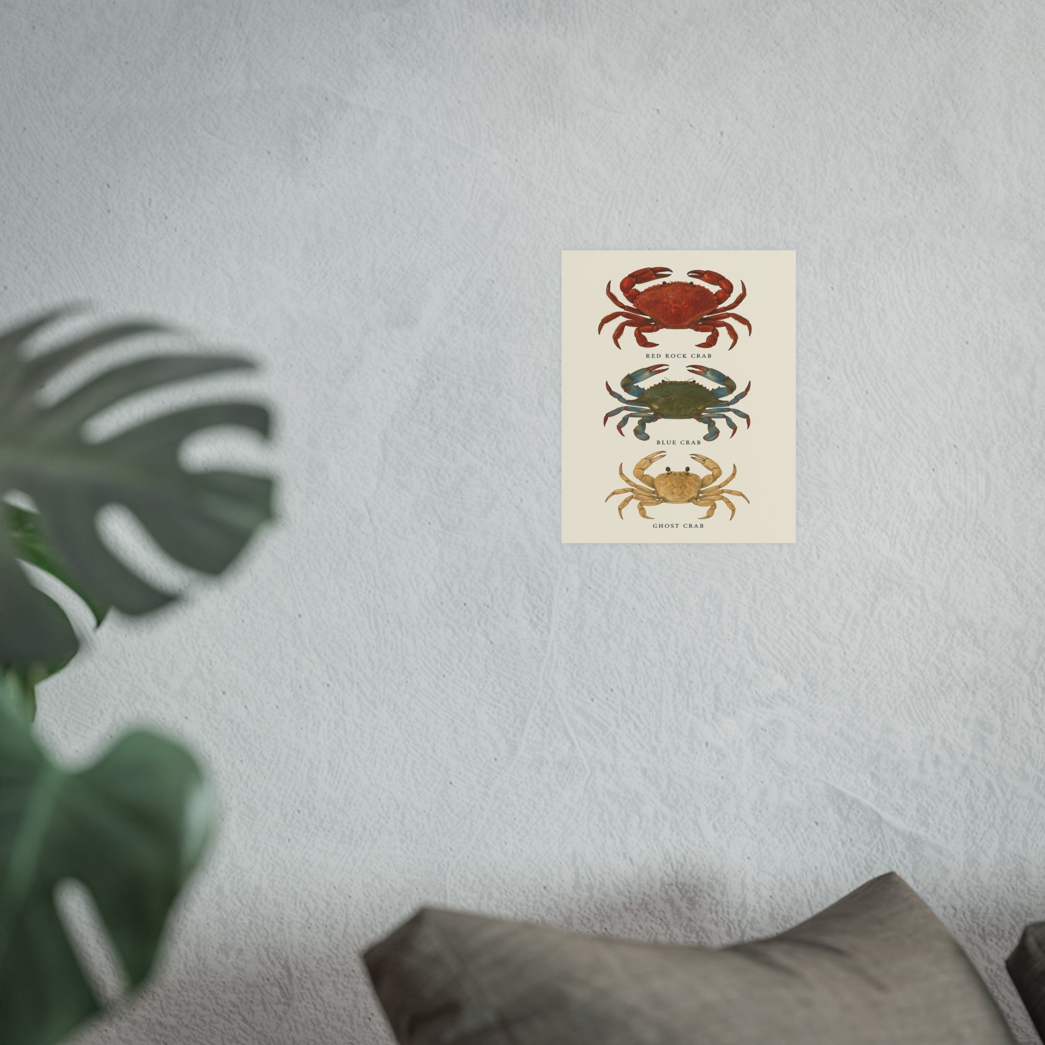 Wildlife Print - Happy Crabs