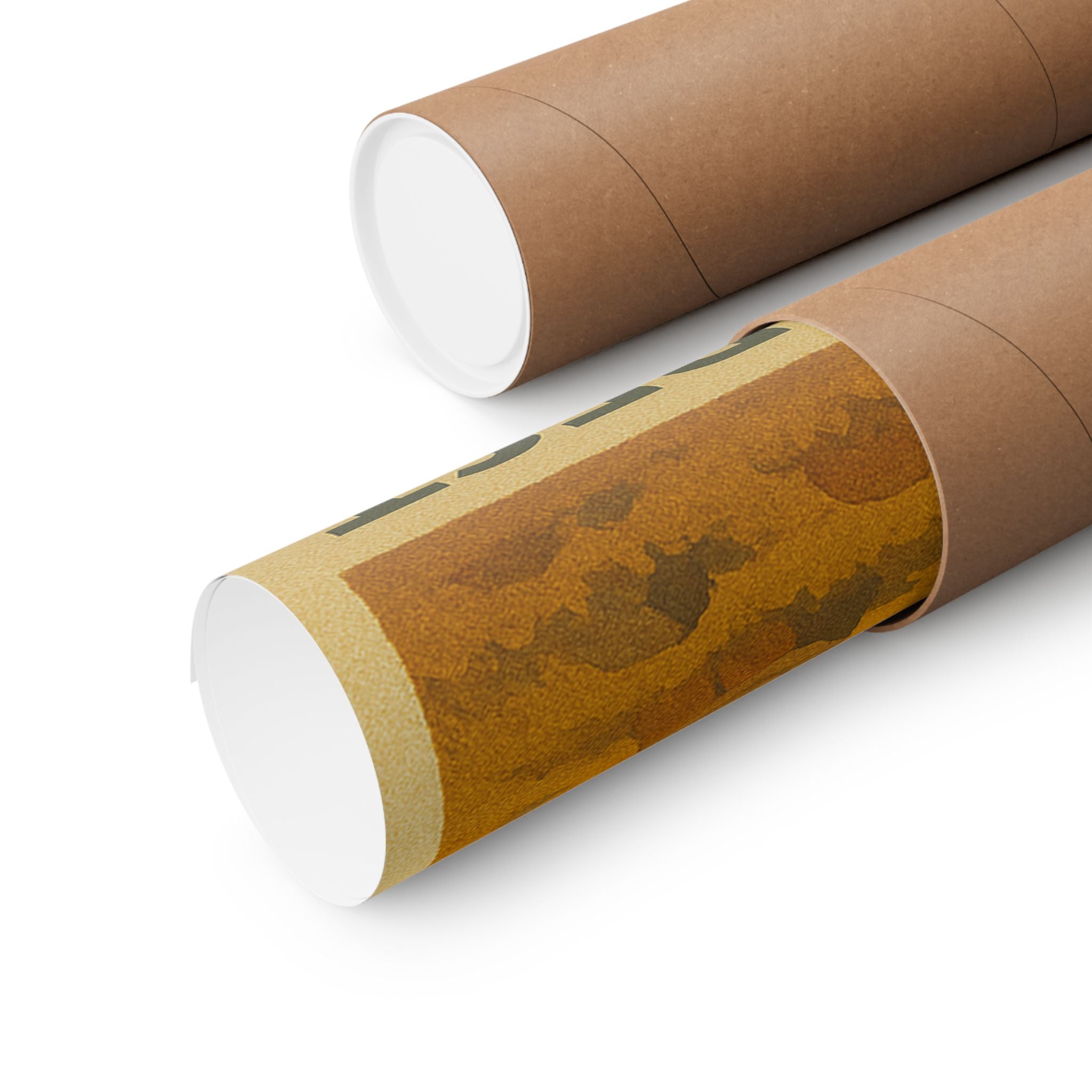 Vertical Print - Petrified Forest National Park