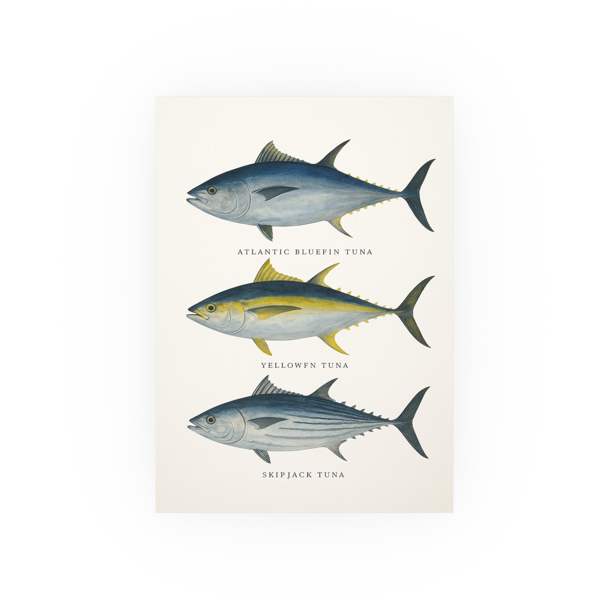 Wildlife Print - Big Tuna