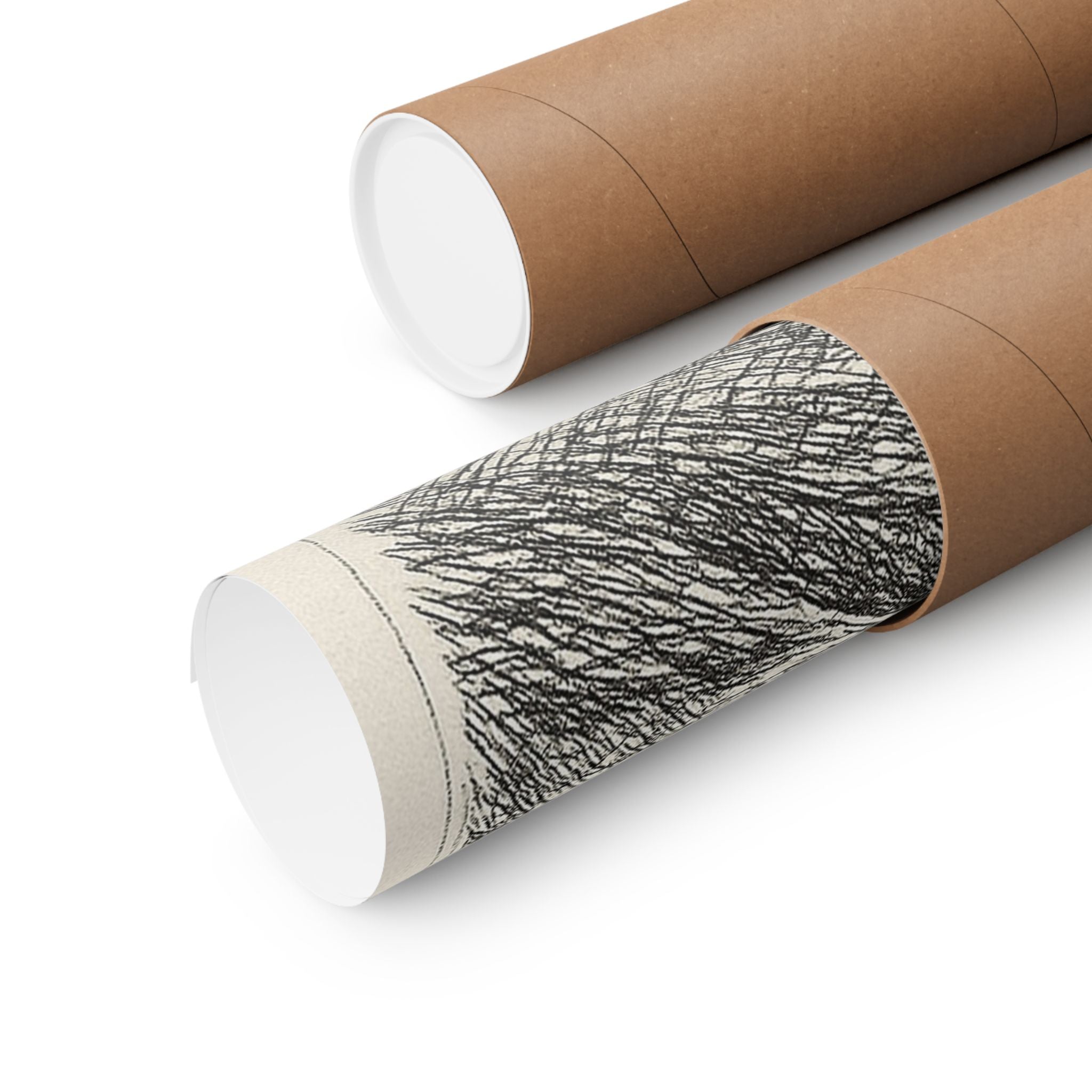 Nature Print - Matterhorn Sketch