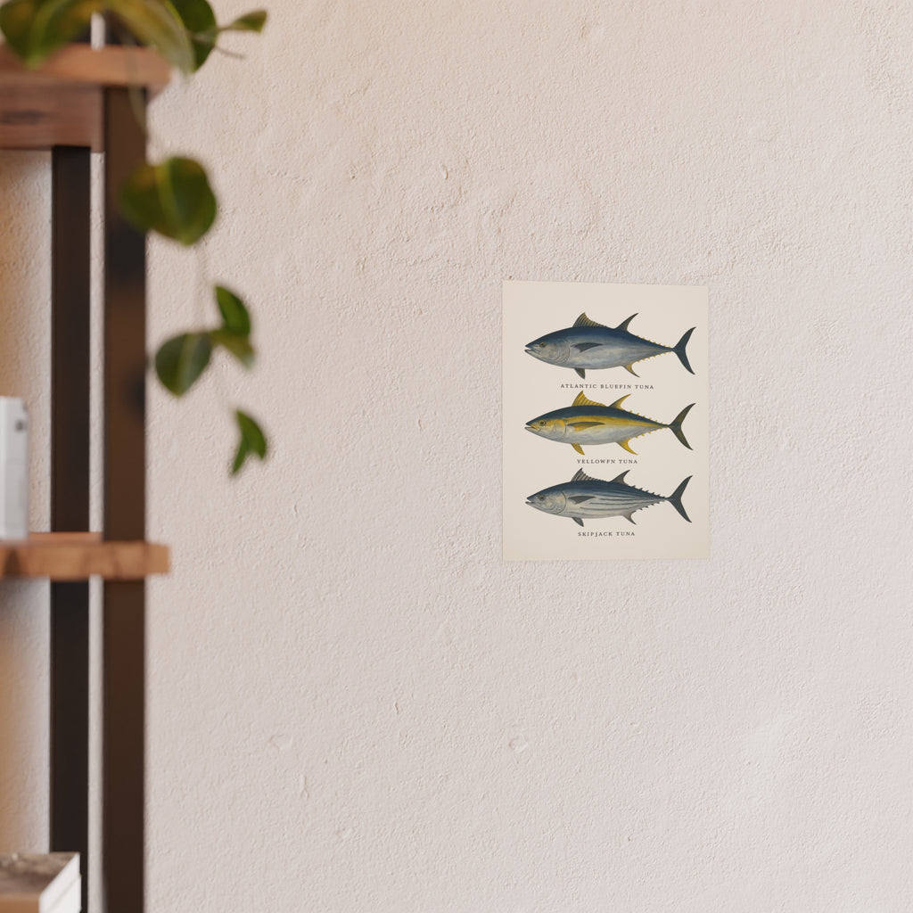 Wildlife Print - Big Tuna