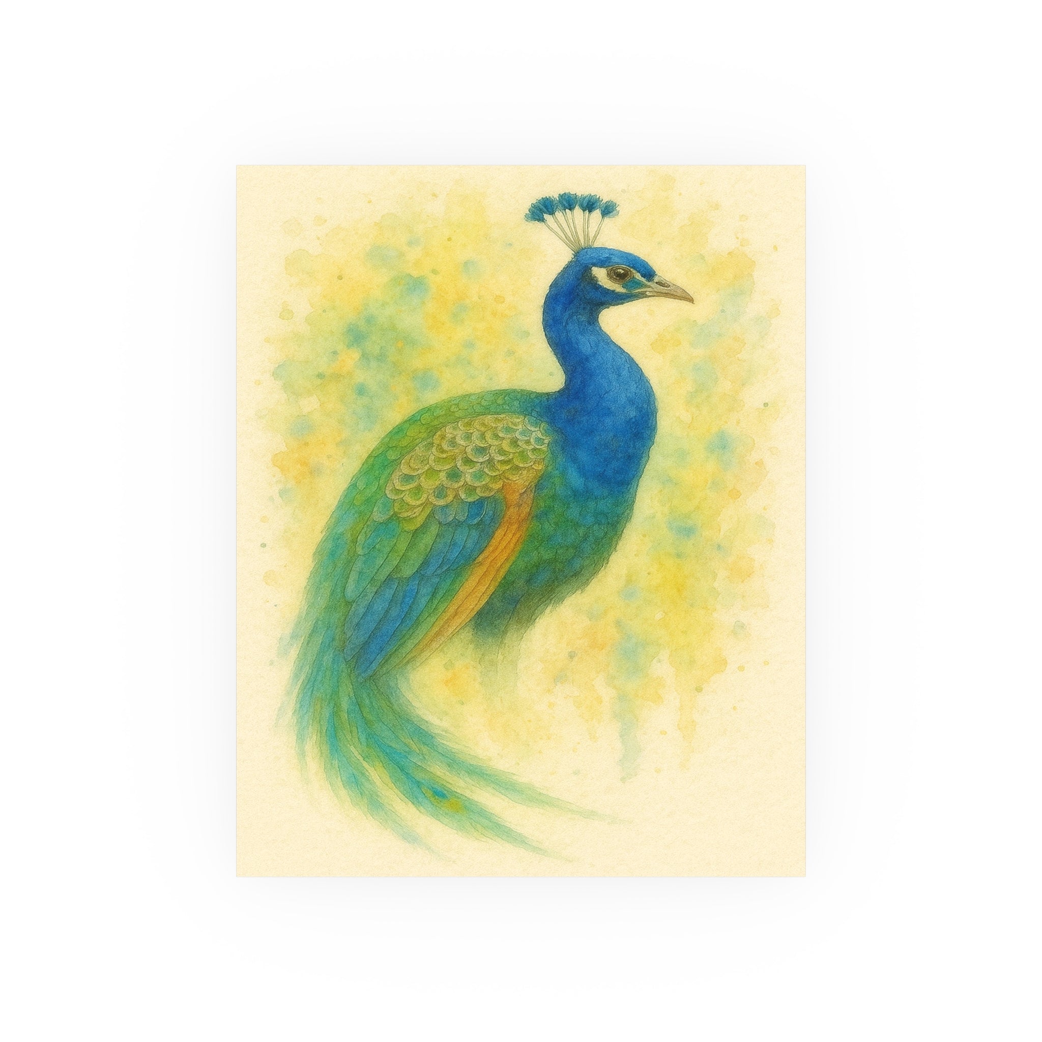 Wildlife Print - Colorful Peacock