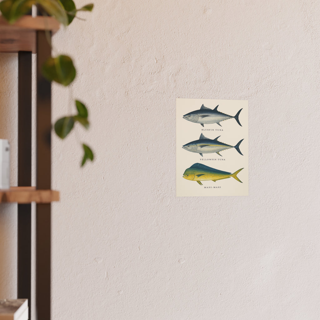 Wildlife Print - The Big Catch