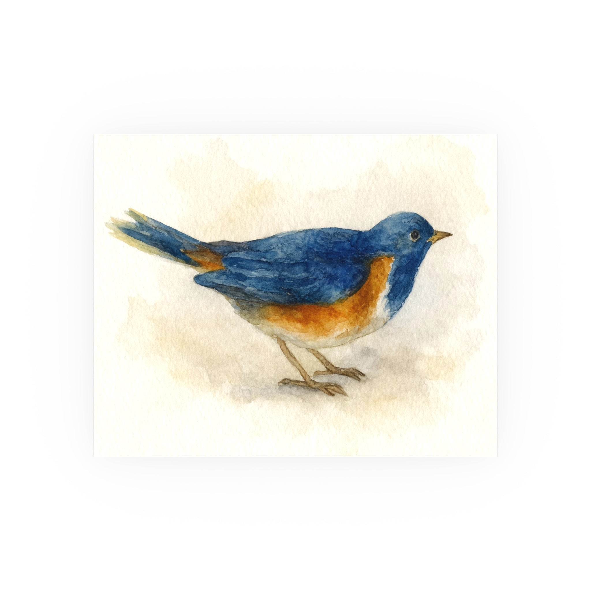 Wildlife Print - Watercolor Bird Blue/Orange