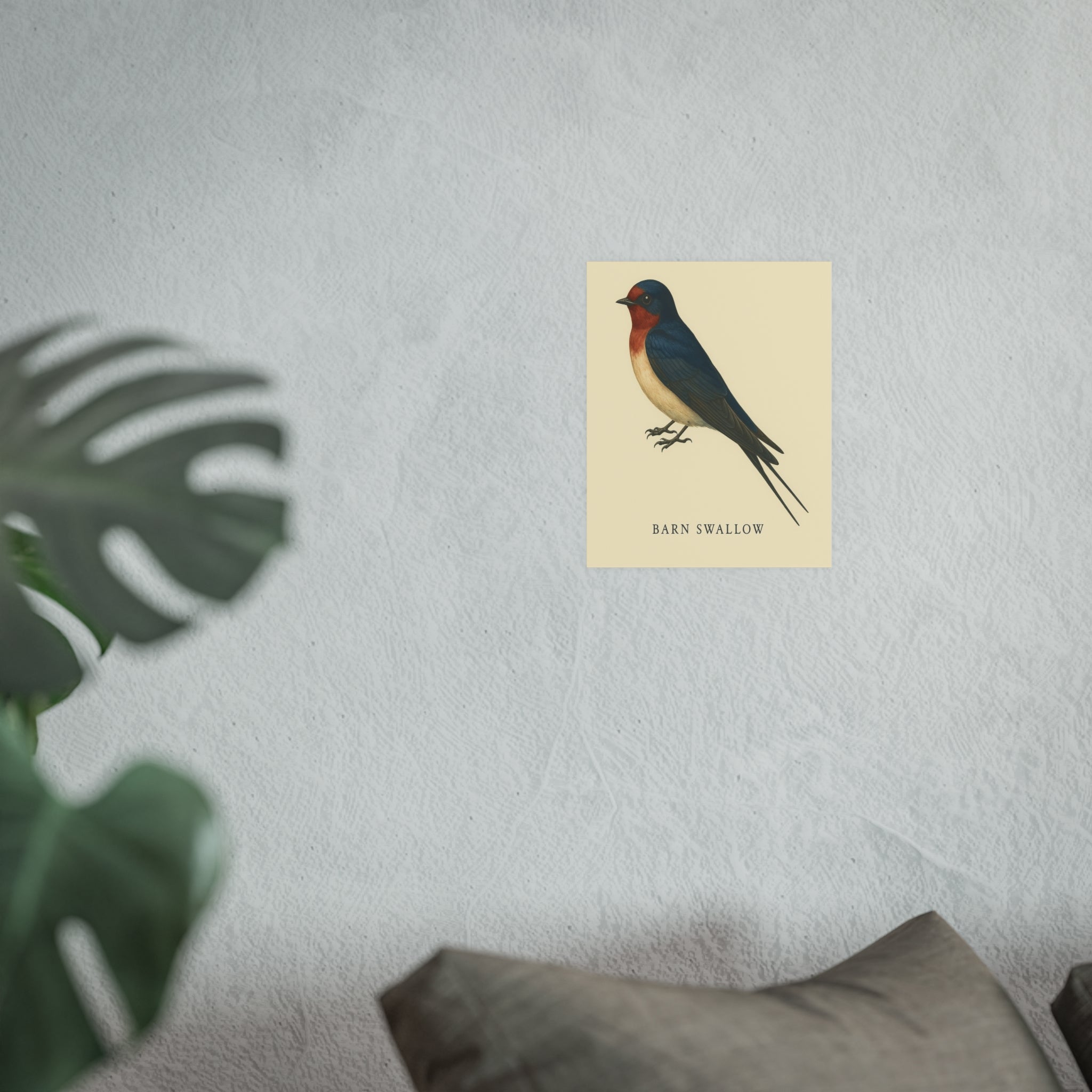 Wildlife Print - Barn Swallow