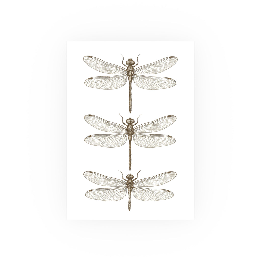 Wildlife Print - Three Dragonflies