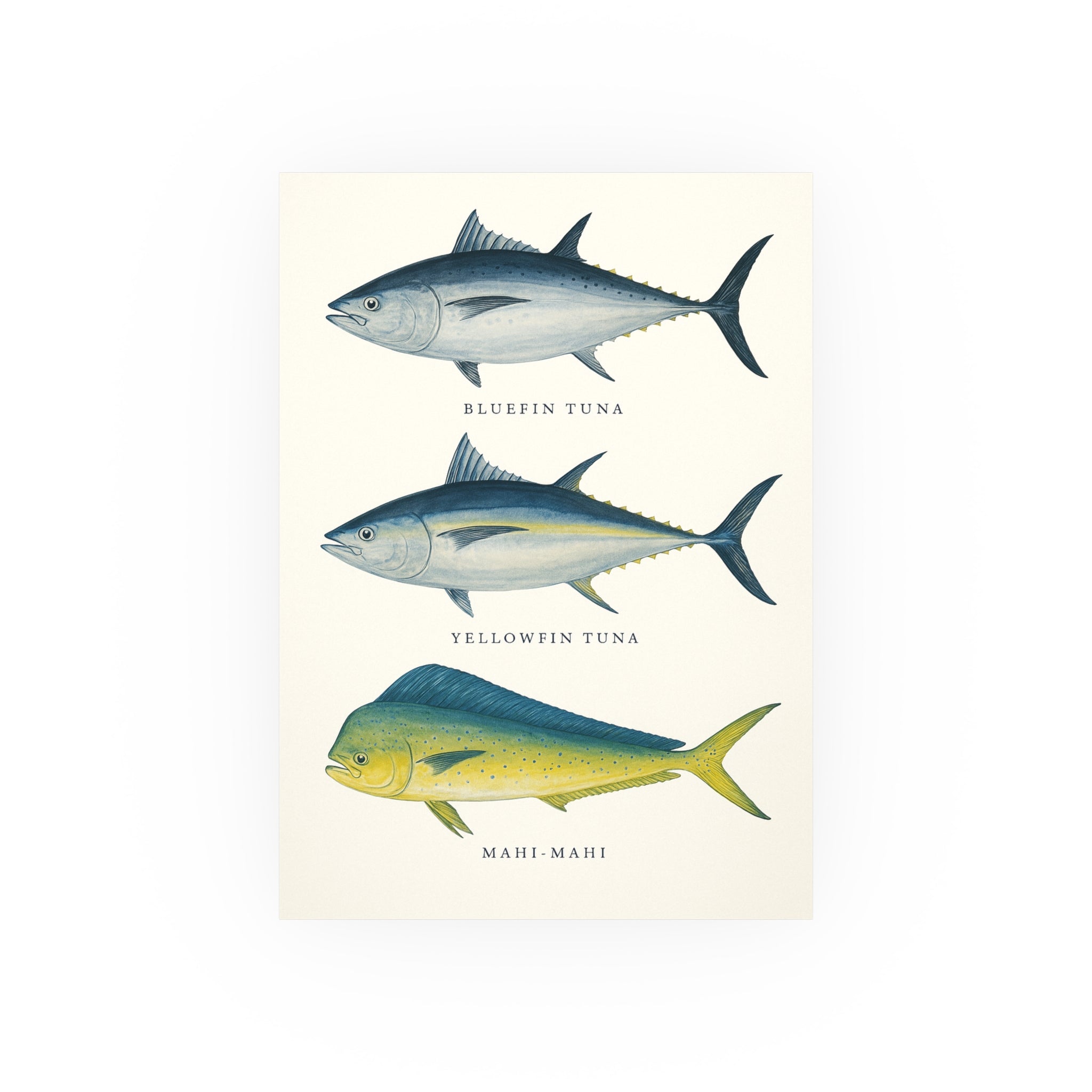 Wildlife Print - The Big Catch