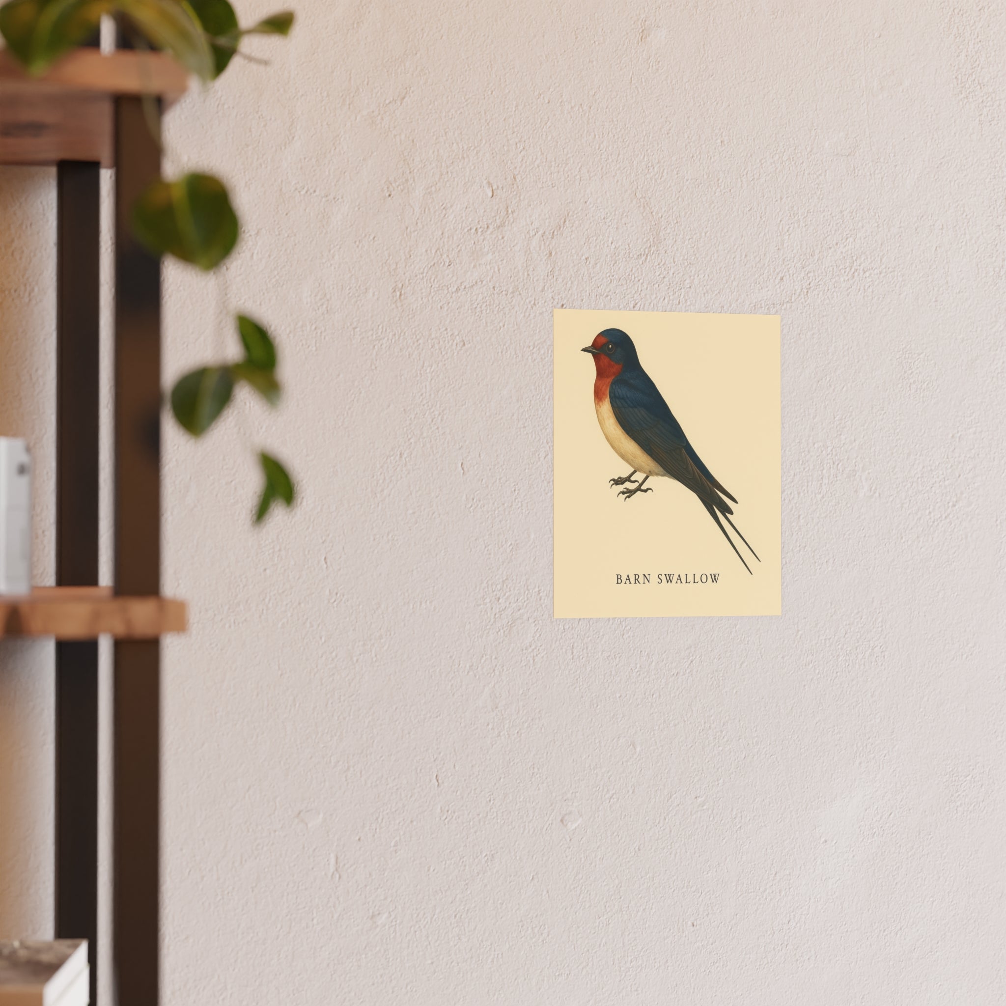 Wildlife Print - Barn Swallow