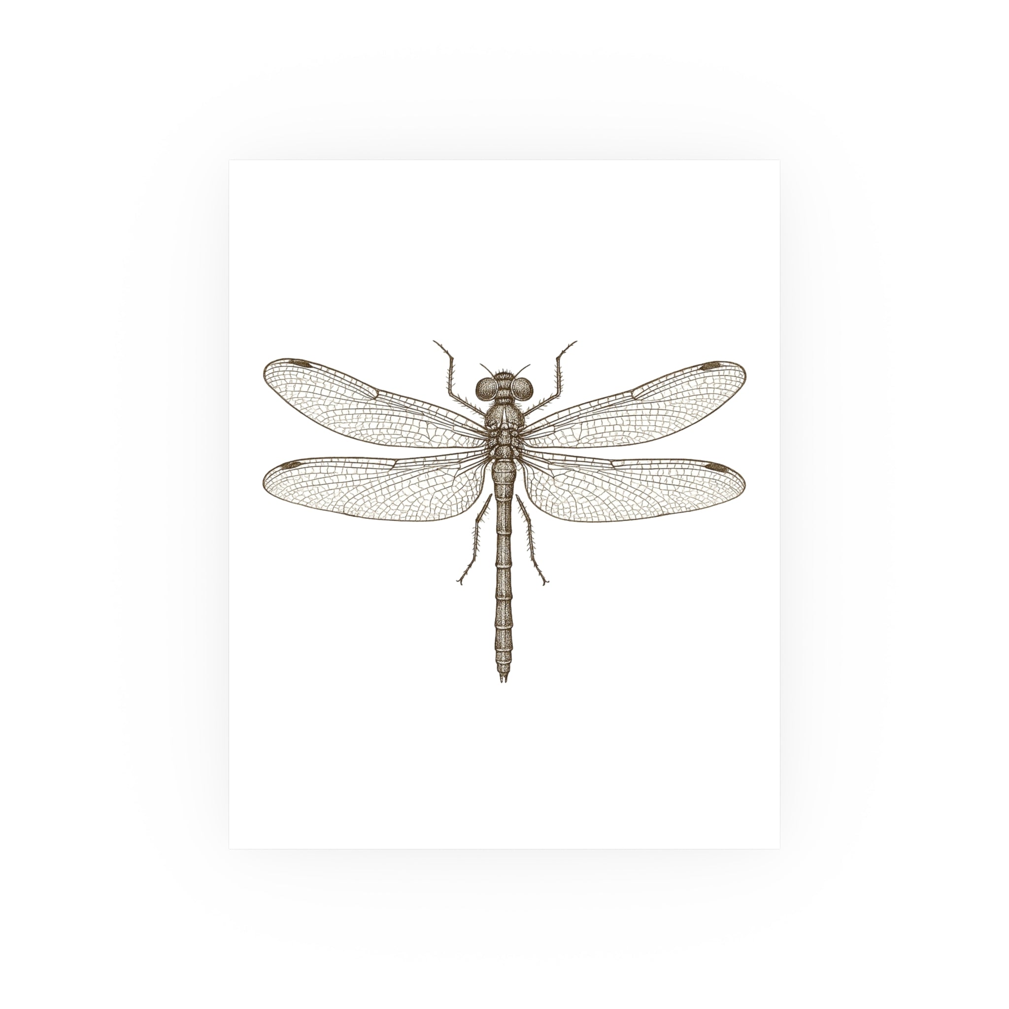 Wildlife Print - Single Dragonfly