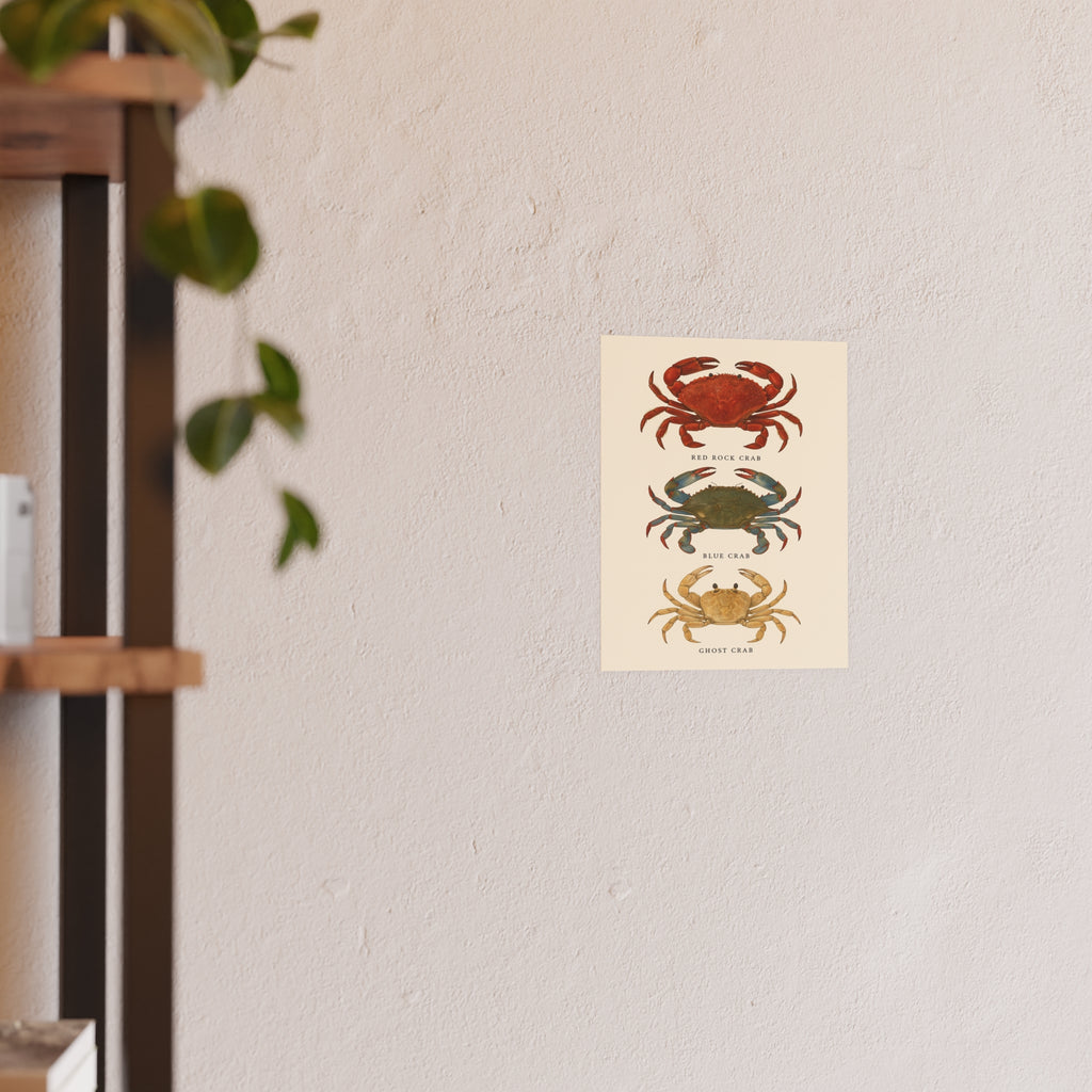 Wildlife Print - Happy Crabs